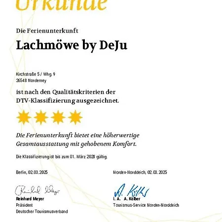 Lachmoewe By Deju * Norderney